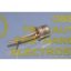 2n2894-case-22-03-style-1-to-18to-206aa.jpg