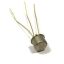 2n3467-transistor-motorola.jpg