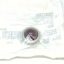 9001r6-pilot-light-lens-square-d.jpg