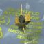 pt4532-trw-rf-transistor.jpg