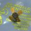 pt4544-trw-rf-transistor.jpg