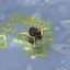 pt5695-trw-rf-transistor.jpg
