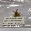 sma-f-panel-mount-connector-18ghz-b41-p10050-0084.jpg