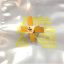 tpv596a-470-860mhz-05w-rf-transistor-motorola.jpg